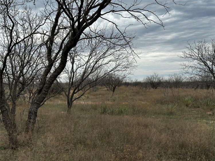 Available!! 22 Acres (Tract 19), Shackelford County