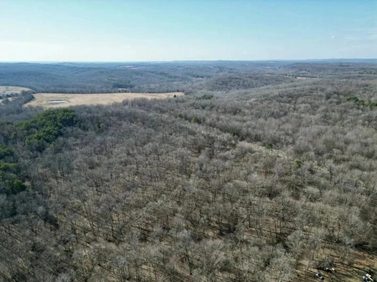 Hardin CO. 40 ACRES +/-