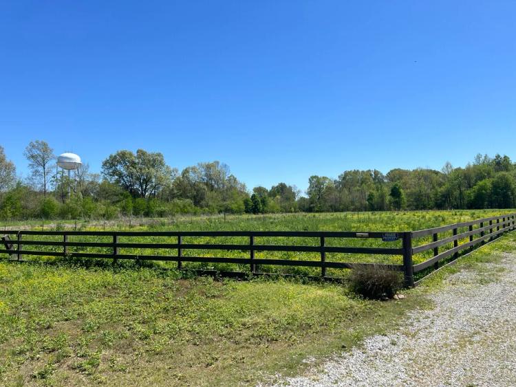 11.30 Acres at 12 Cotton Lane