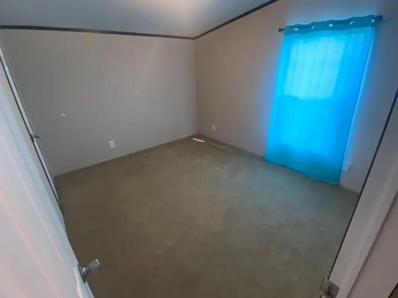 52556095-21