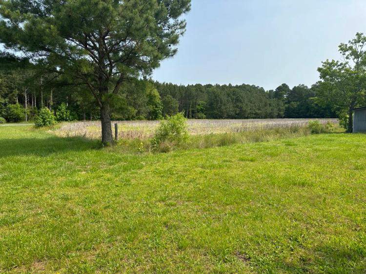 5.04 Acres at 6659 Old Athol Rd