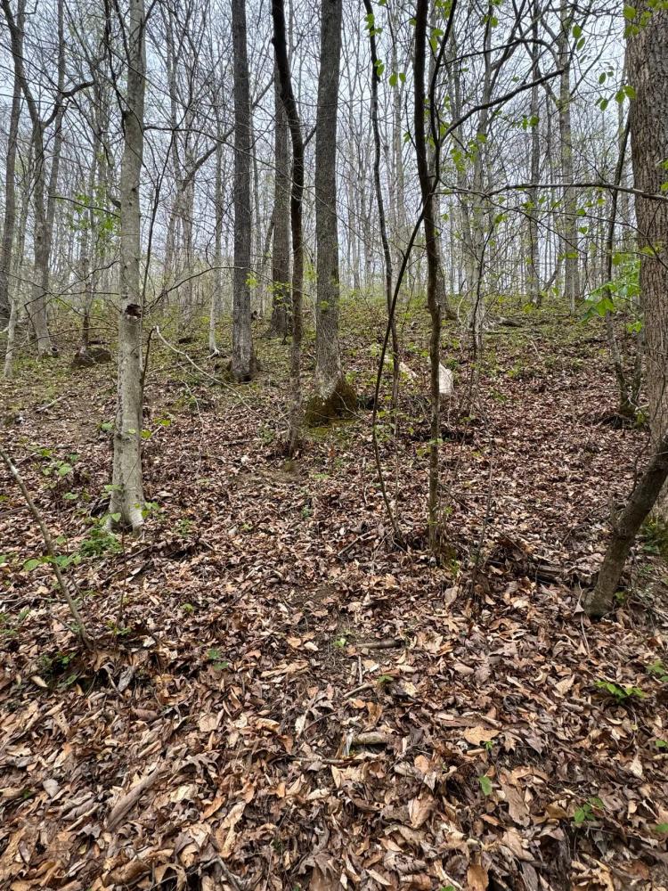 64+/- Acres in Clay County, KY