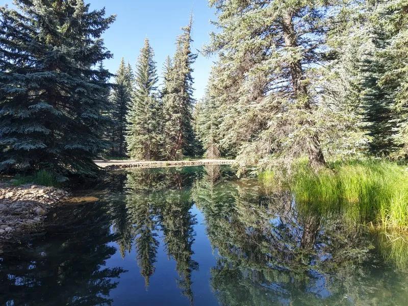 Grimes Creek Oasis