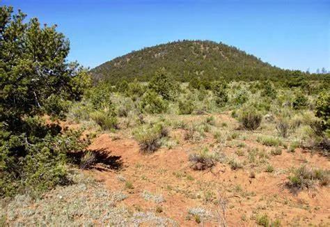 1/4 acre Undeveloped Recreational Lots in El Morro Estates - Cibola County New Mexico