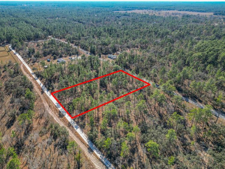 TBD SE 130th Avenue, Dunnellon, FL 34431
