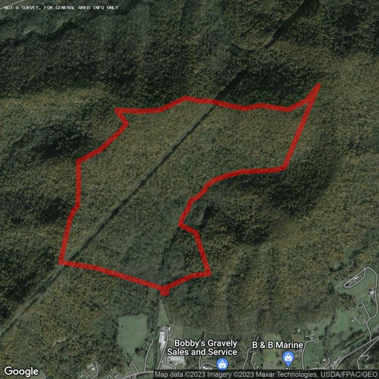  br,  bth, 5.00 Acres. Summersville WV
