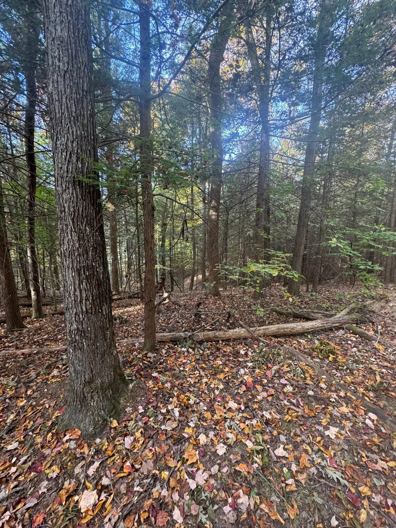 52683417-7