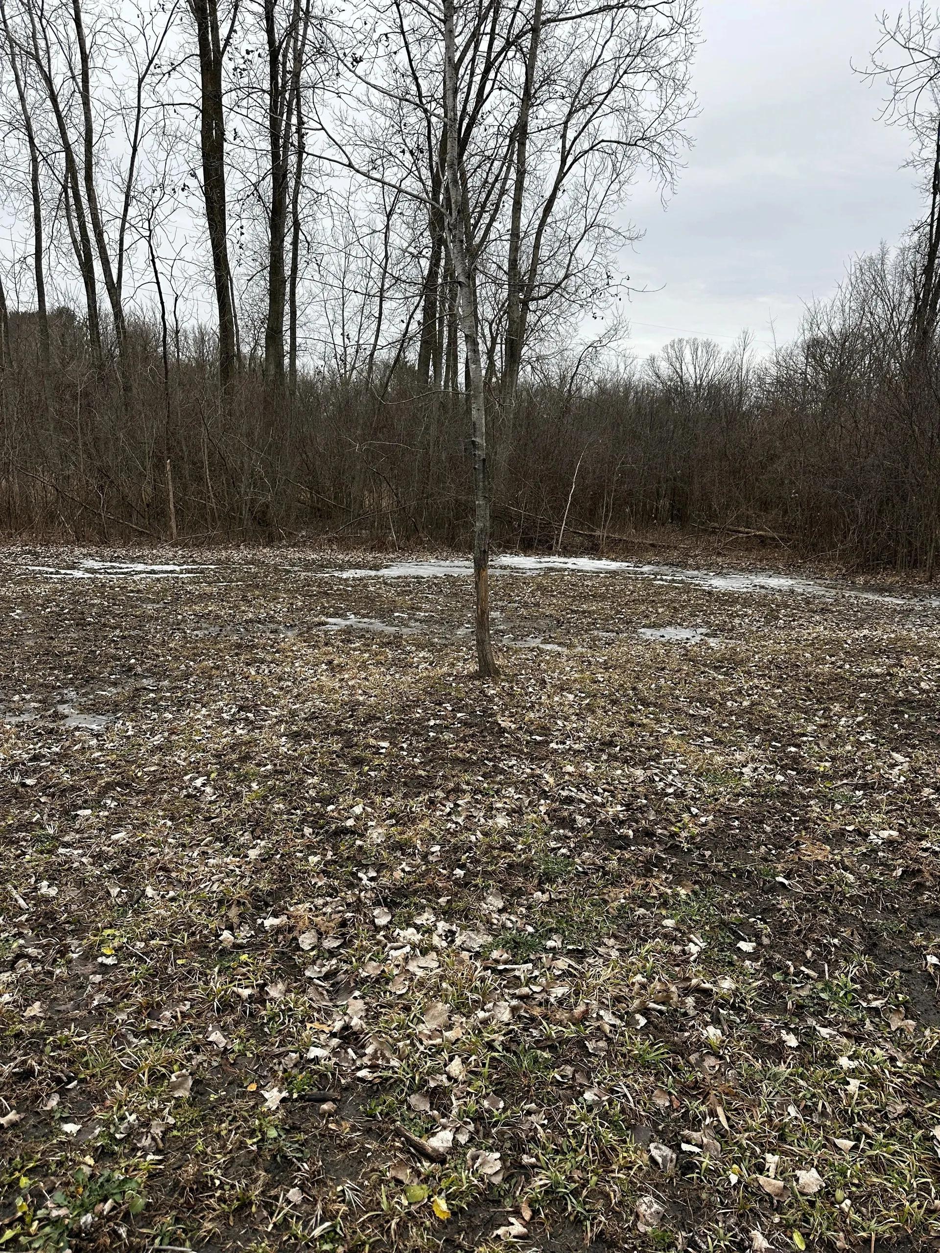 52687947-20