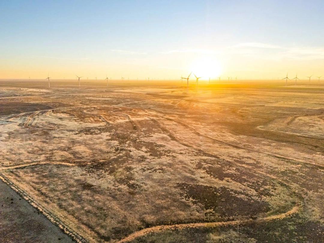Balko Panhandle Grazing Opportunity