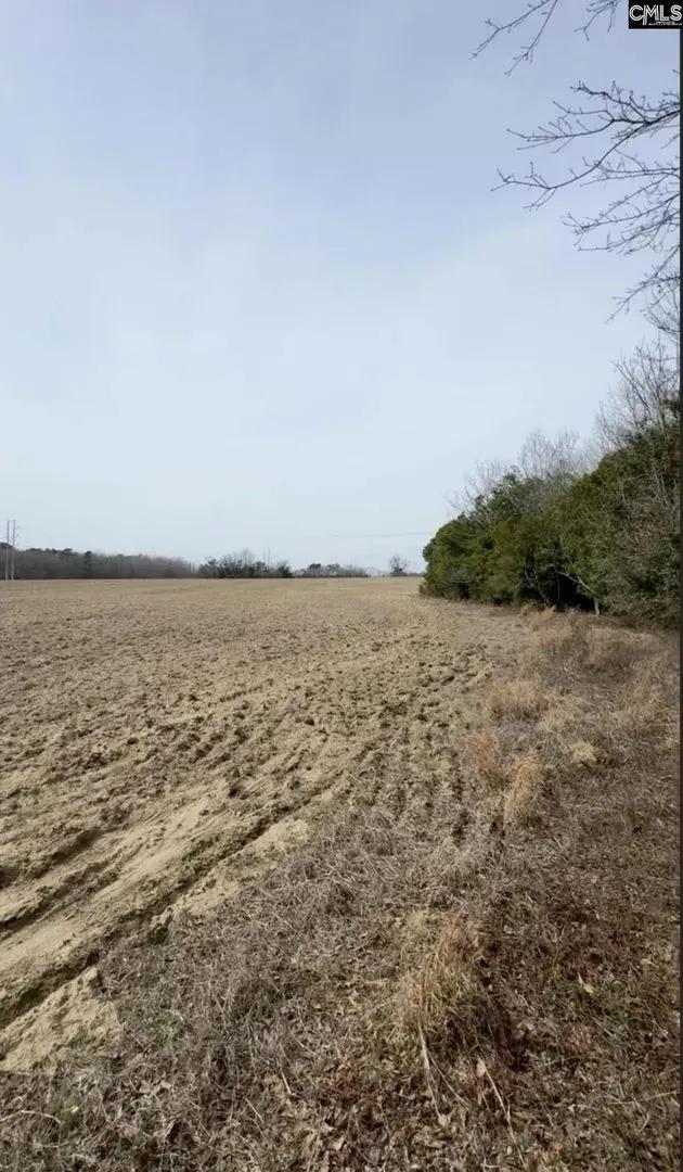 TBD Firetower Road
