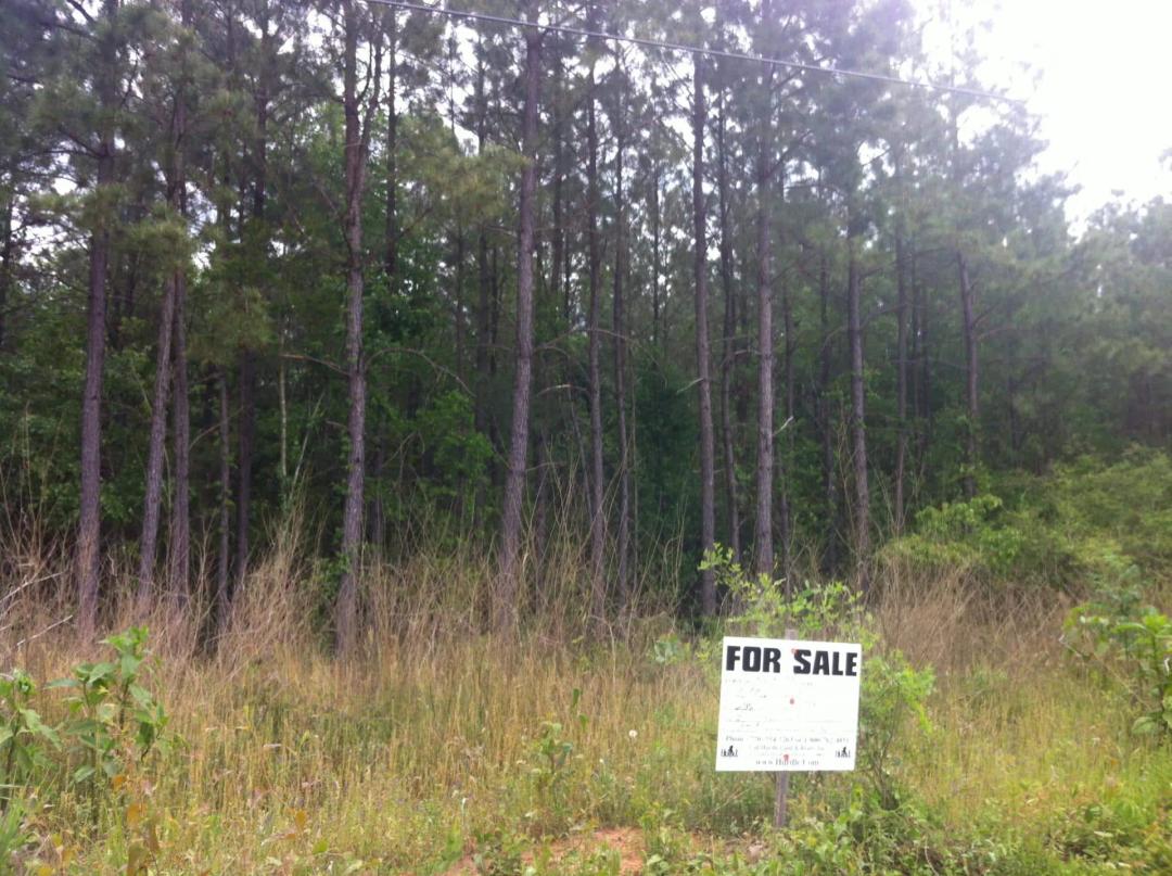 Private: Hickory Hollow Farms - 3.16 Acres