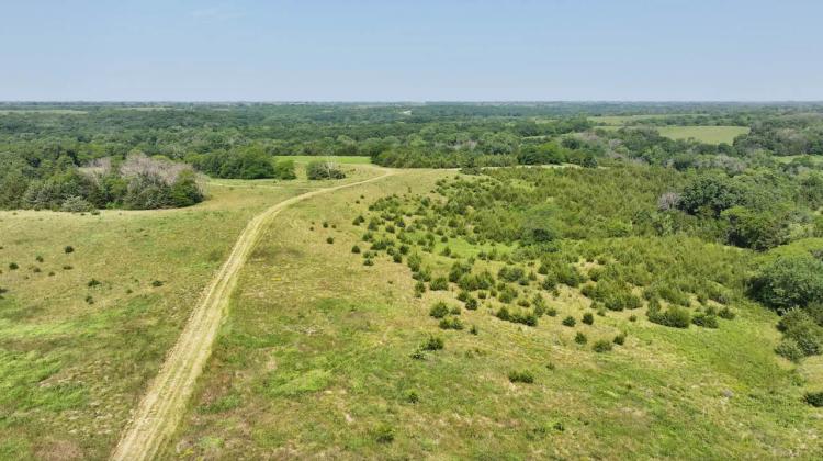 Wayne County, Iowa 68 Acres For Sale