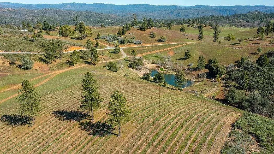 Tailem Bend Ranch and Vineyard