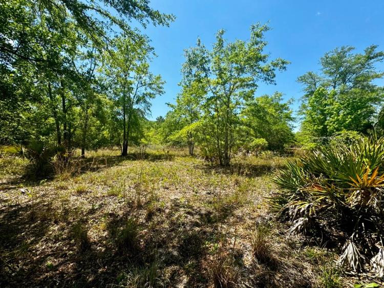 176.8 Acre Recreational Tract