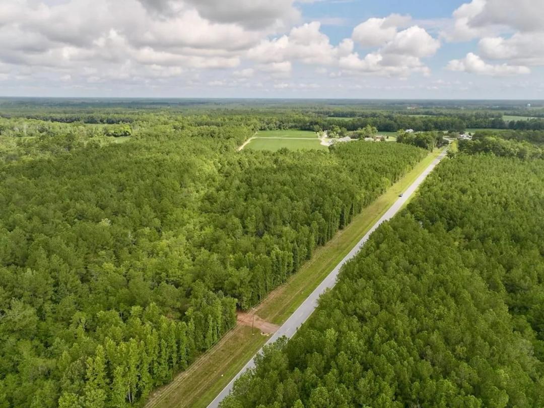 14.79 Wooded Acres with Homesite Potential For Sale in Greene County NC!