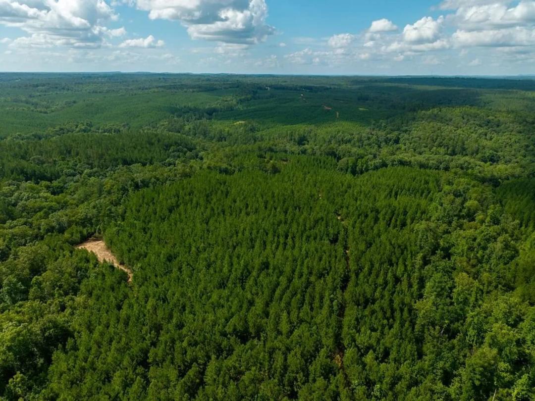 Big rock 2- 77 Acres Hunting Land Verbena, AL