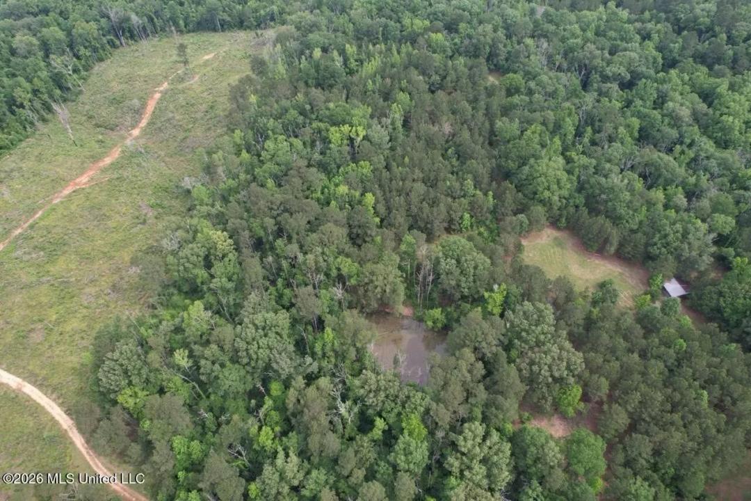 15 Acres with Pond & Homesite in Liberty, MS