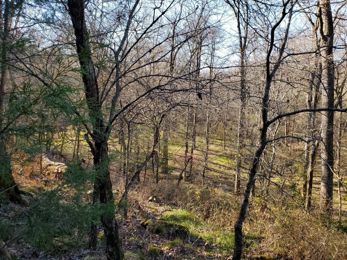 52830069-6