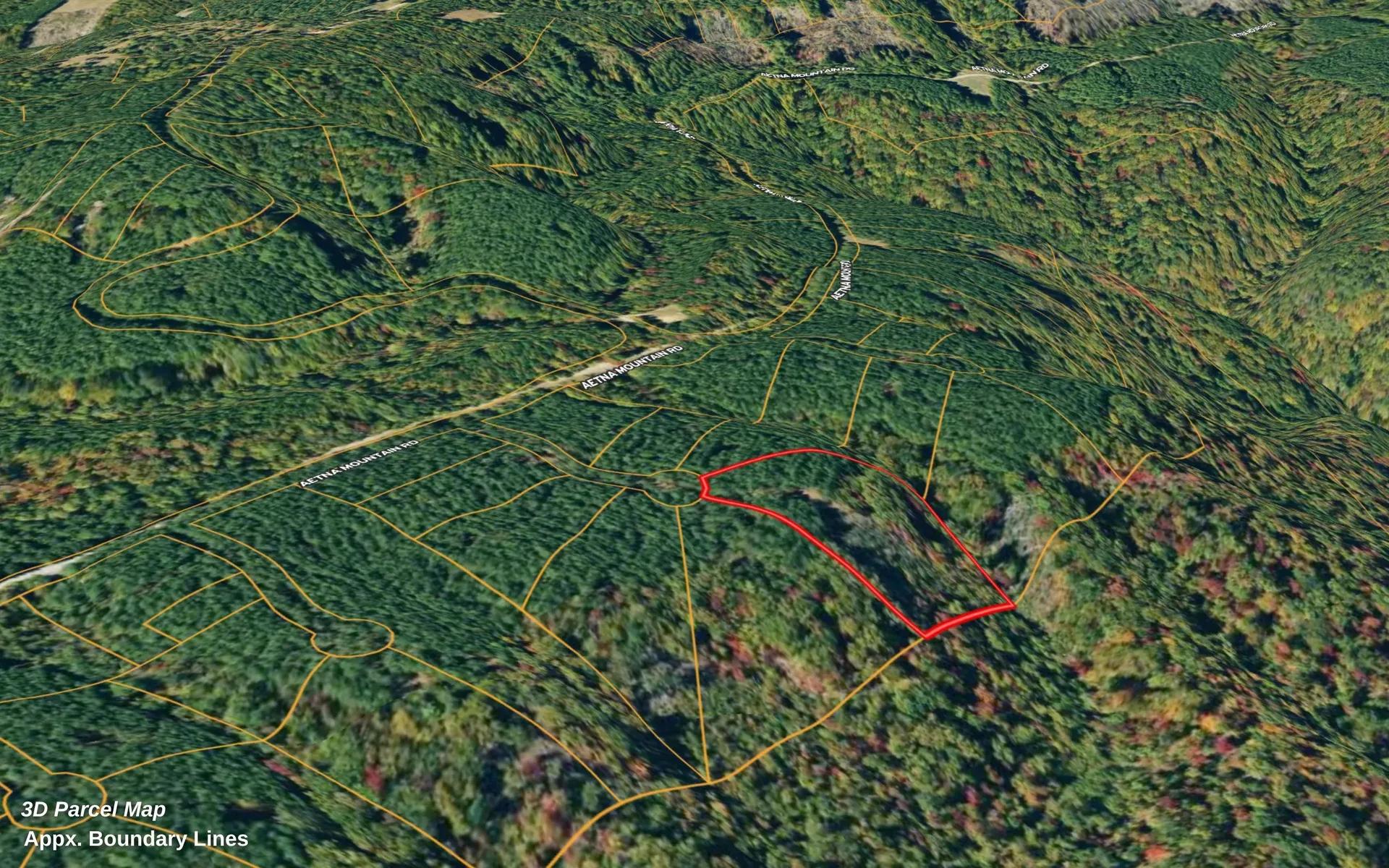 52861681-23