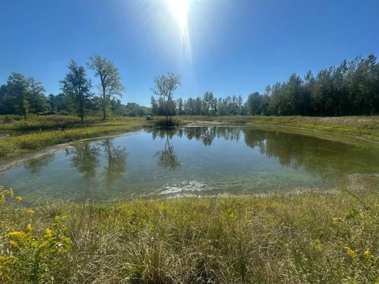 River Bottom Heaven