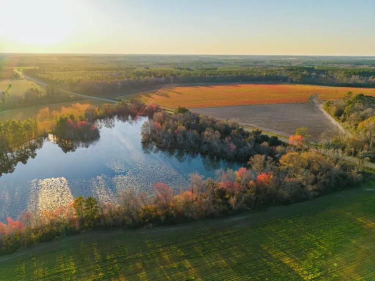 Young Lake Farm