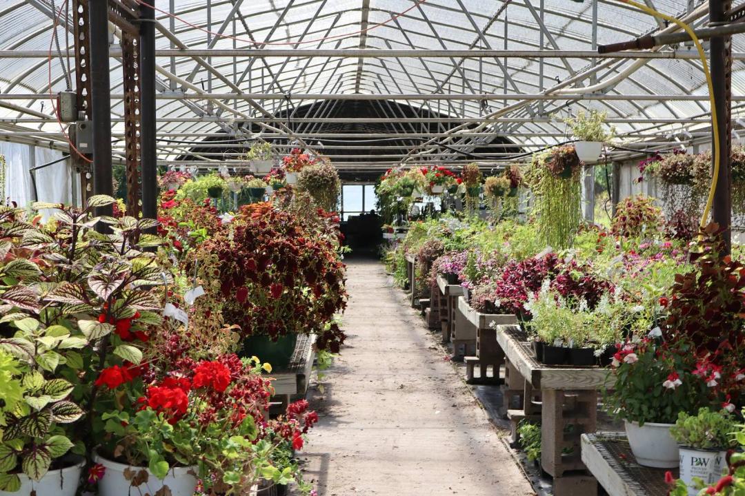 Greenhouses, Shale Quarry and Residence.