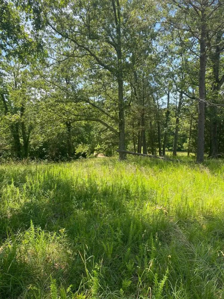 Bolivar TN - 22.5 acres - $135,000