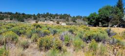 img_4-20220824_120324