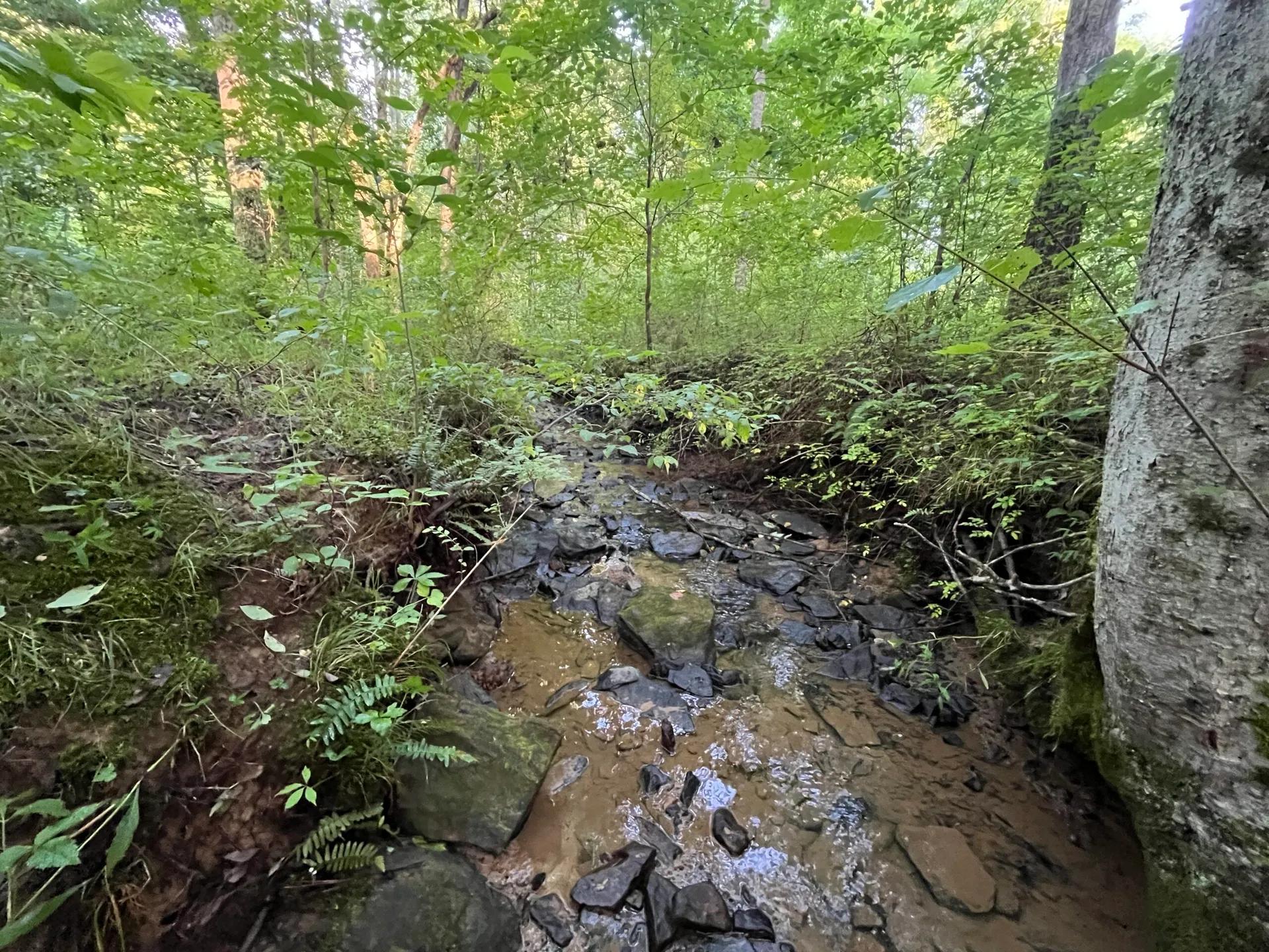 52965567-16