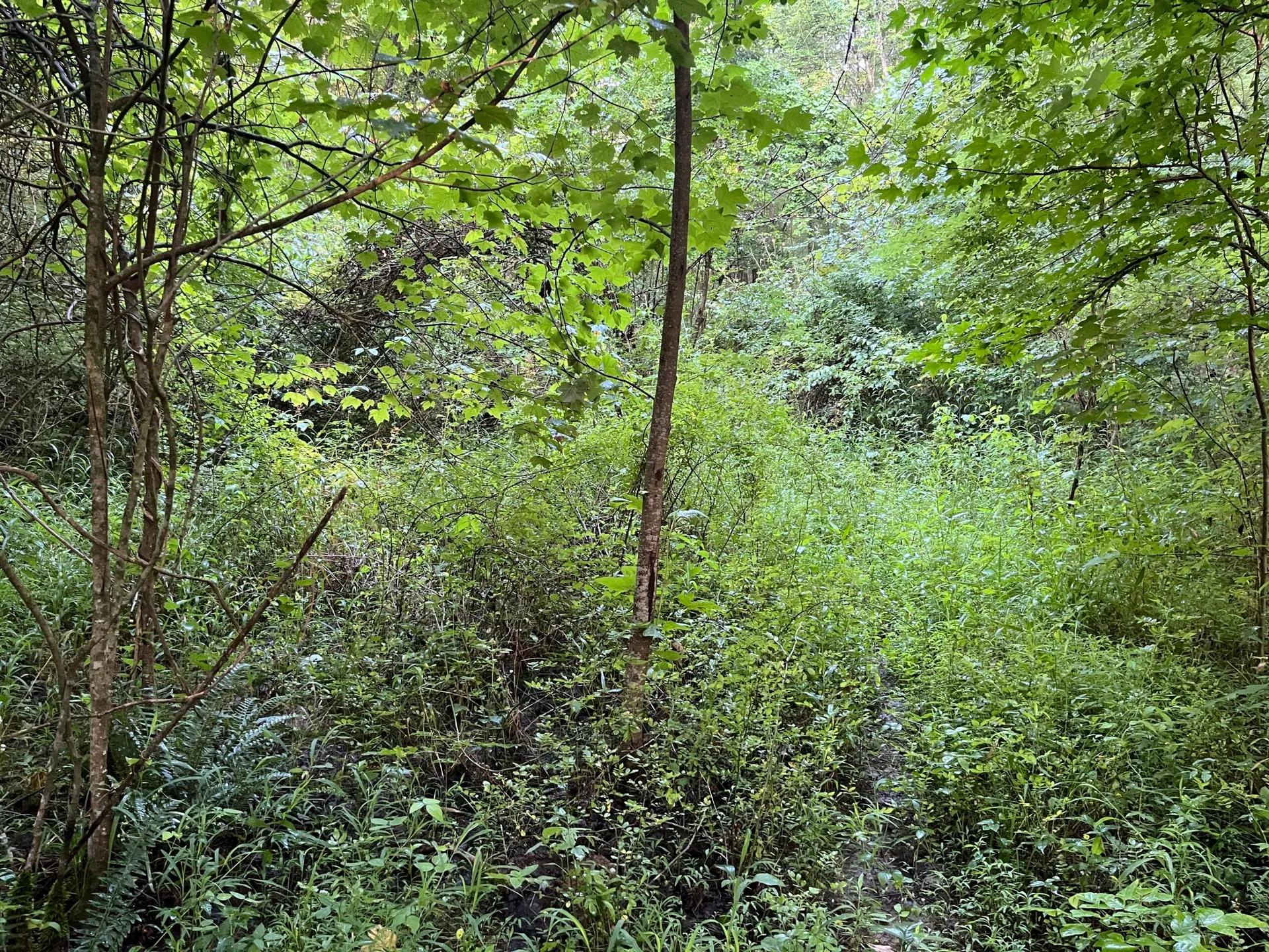 52965567-34