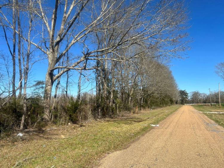 134 Acres Wilkinson County, MS