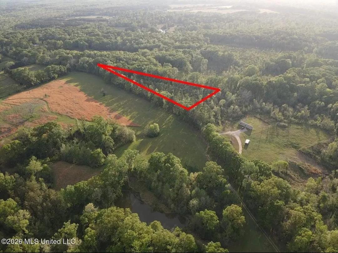 4 Acres for Sale Near Edwards, MS | Hinds County 