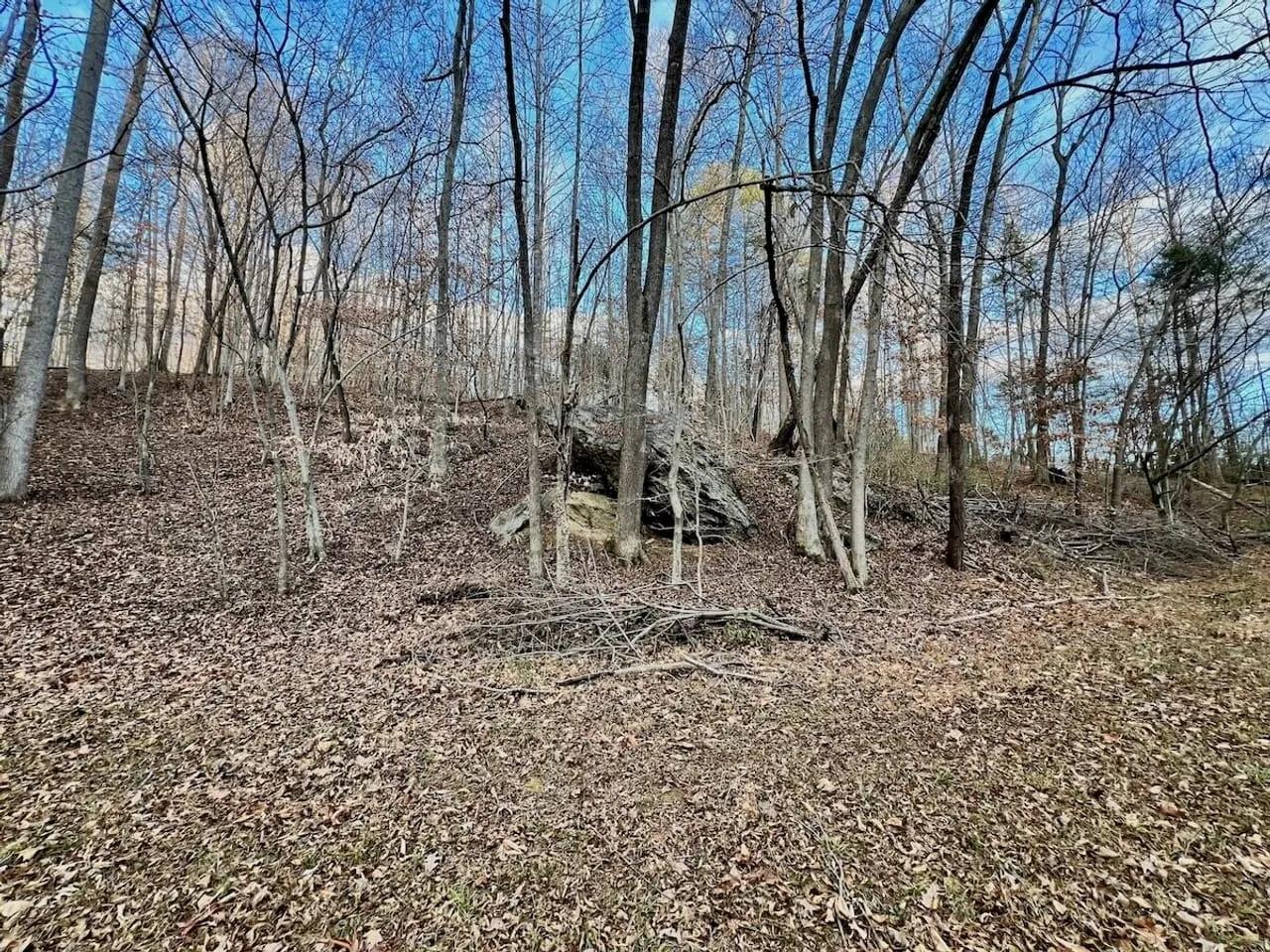 53006303-57