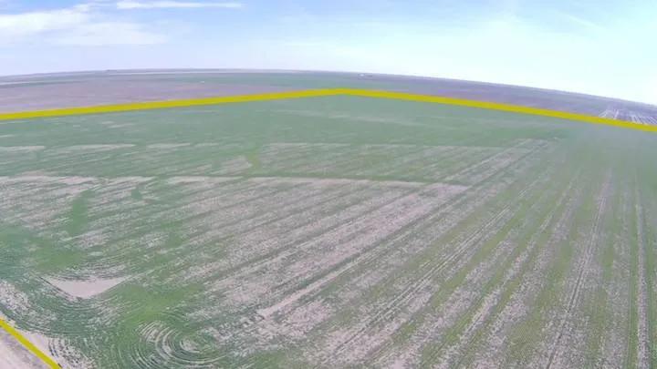 80 Acre tract of Kearny Co. Dry Land