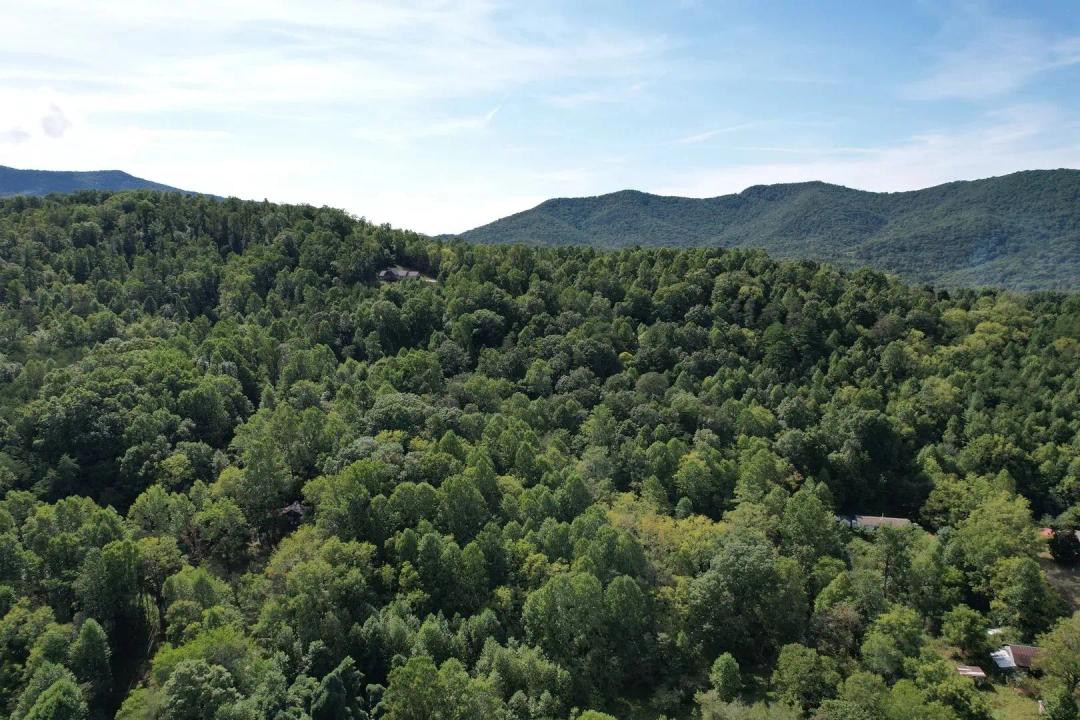 20 +/- Acres - Hiawassee, Georgia