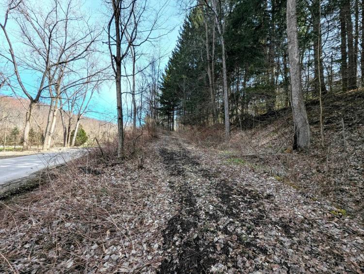 22 acre Hunting and Recreational Property in Cohocton NY Ryan Hollow Rd
