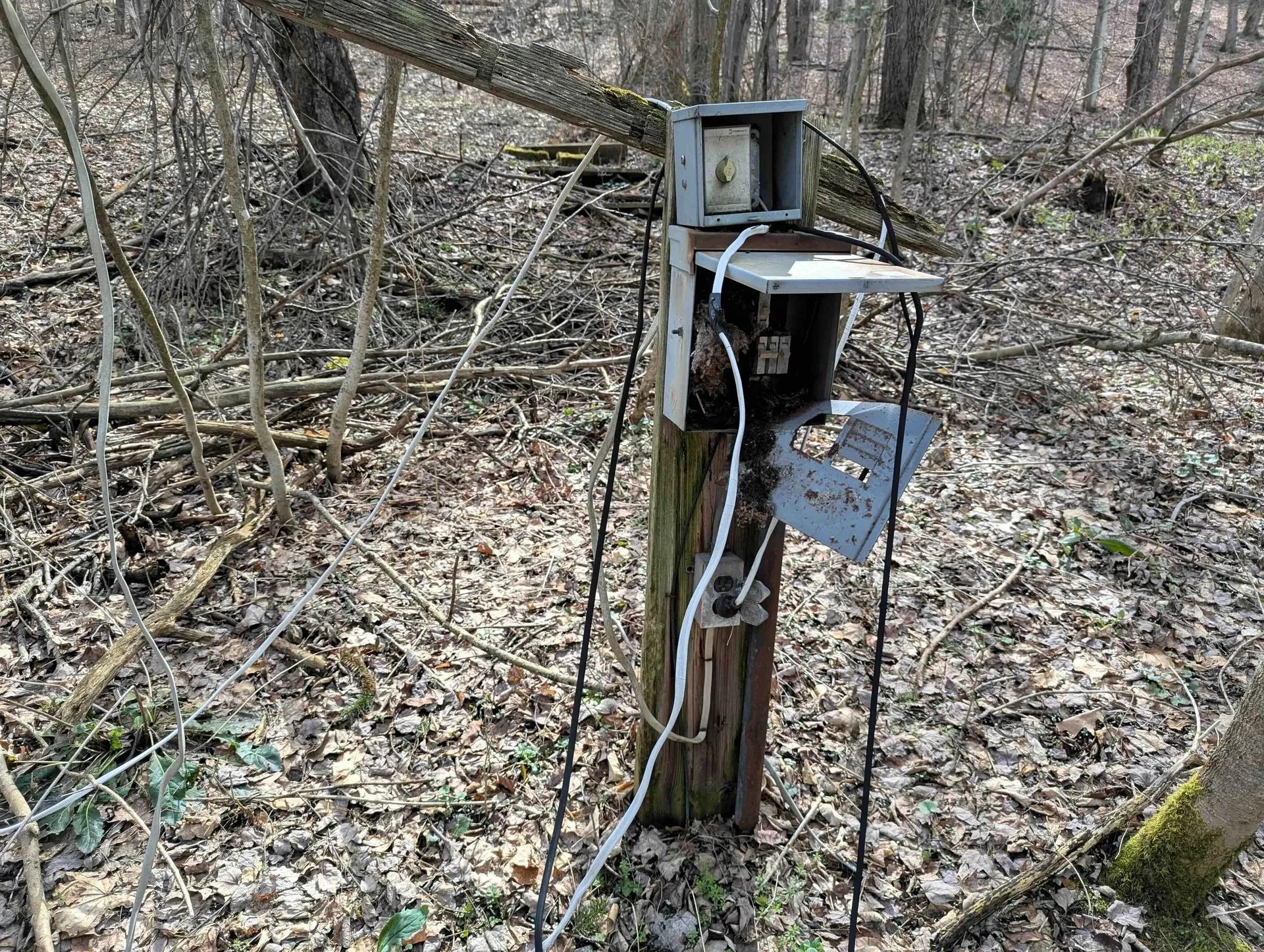 53063317-10