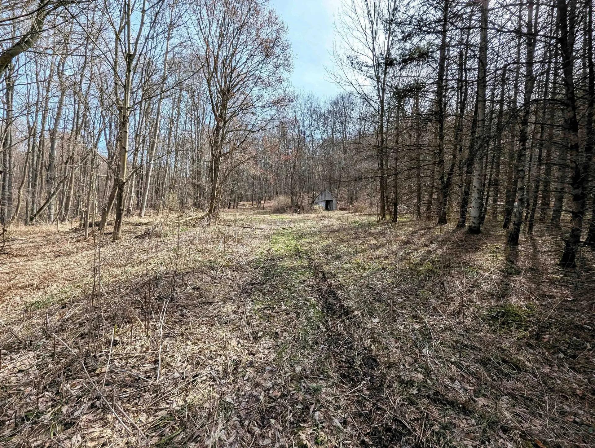 53063317-6
