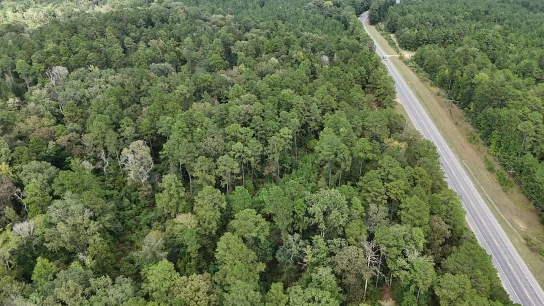 Hunting and Timberland w/ Homesite Potential Trout LA