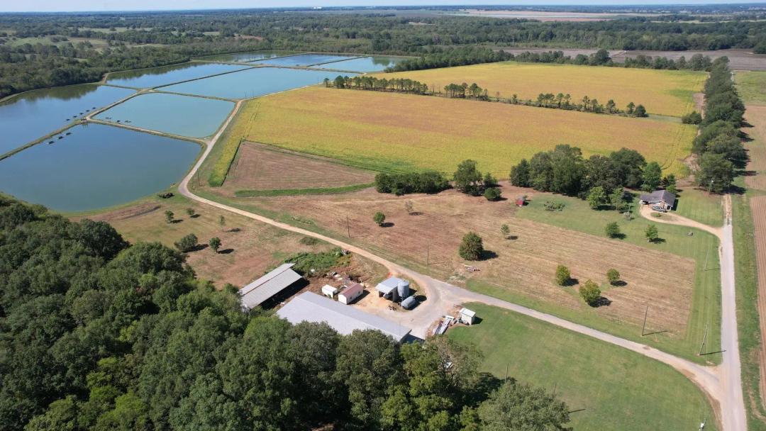 165+/- Acre Noxubee County Farm for Sale