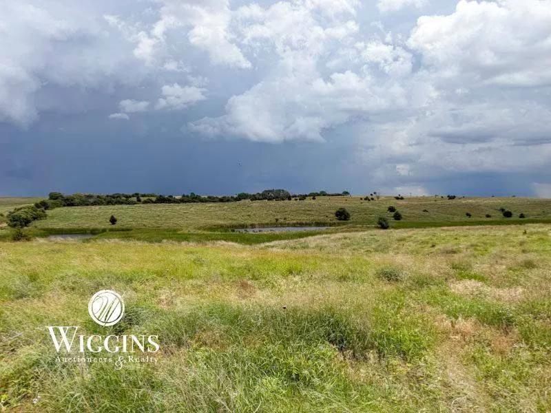 2 Farms Totaling 240 +/- Acres | Farm #1