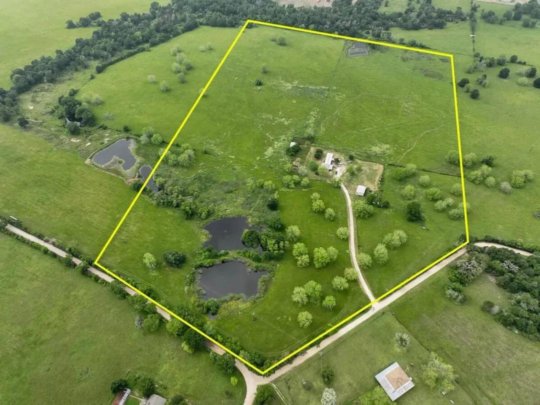 55 Acres | T-14 | County Road 3630