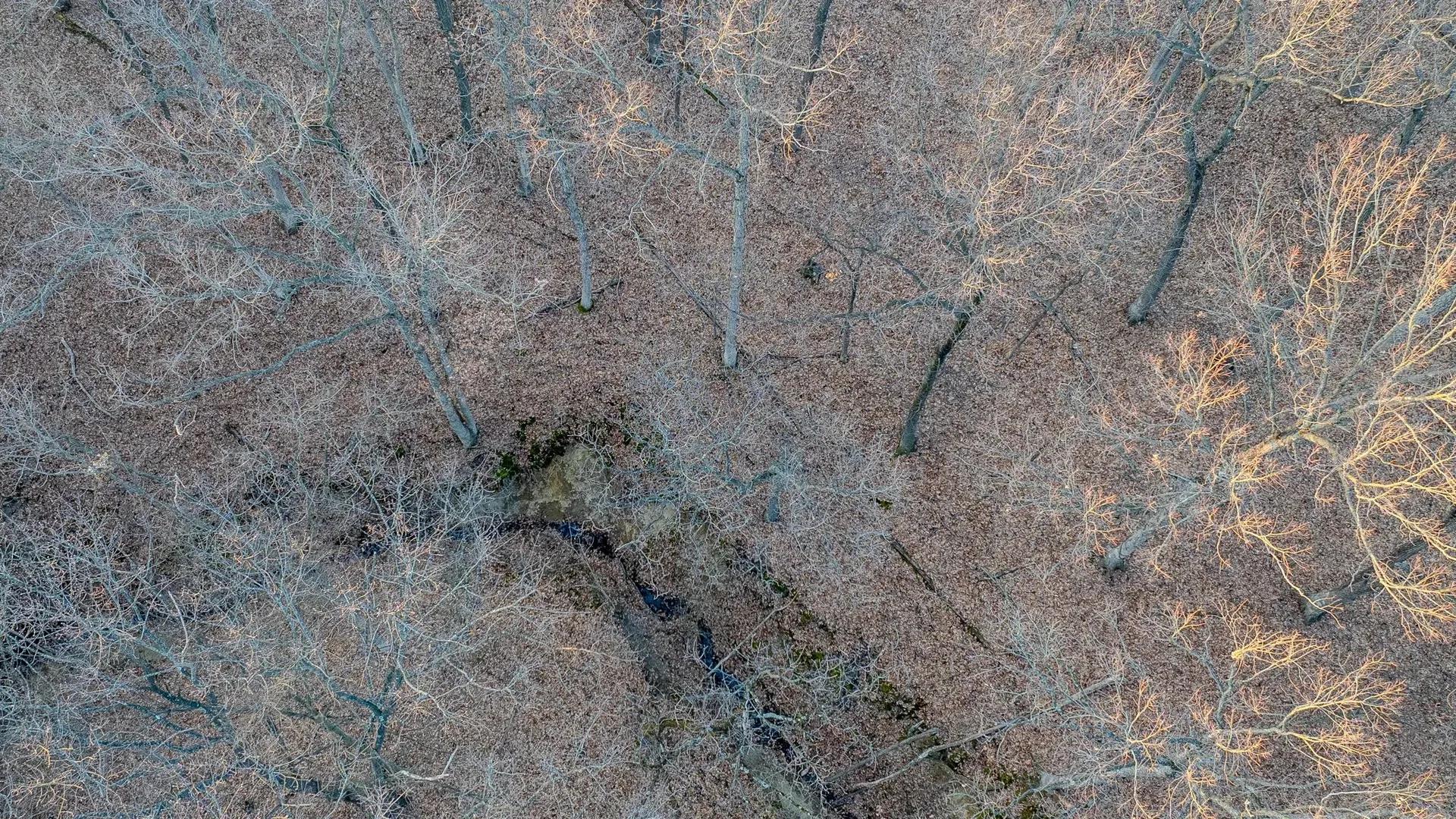 53132156-30