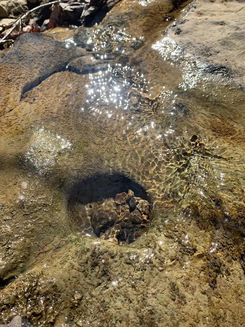 53252477-18