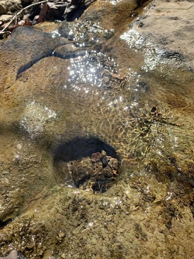 53252477-29