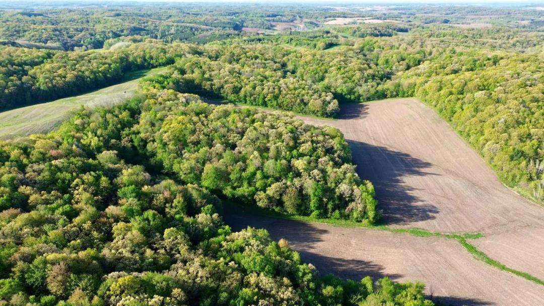 151 Acres of Prime Trempealeau County Land | Tillable, Timber & Turnkey Setup