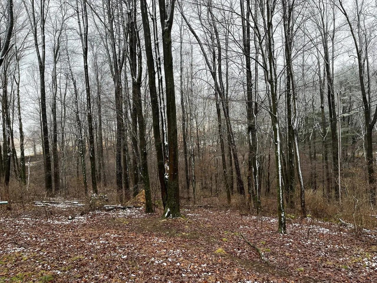 53276174-49
