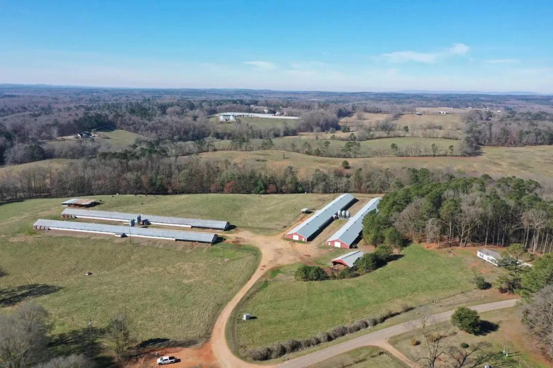 NEW PRICE - Phillips Broiler Farm – Four House Farm in Randolph County, Alabama