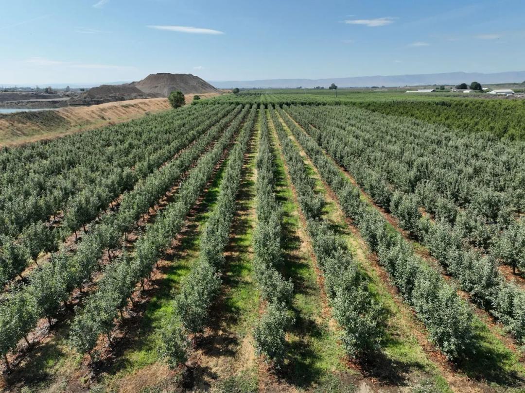 Listing #18431 - 56.27 acres in Yakima County, WA