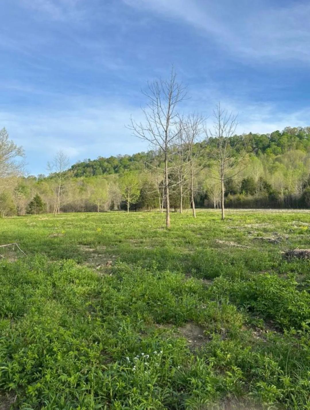 54.88 acres Multiple Building Sites in a Scenic Country Setting